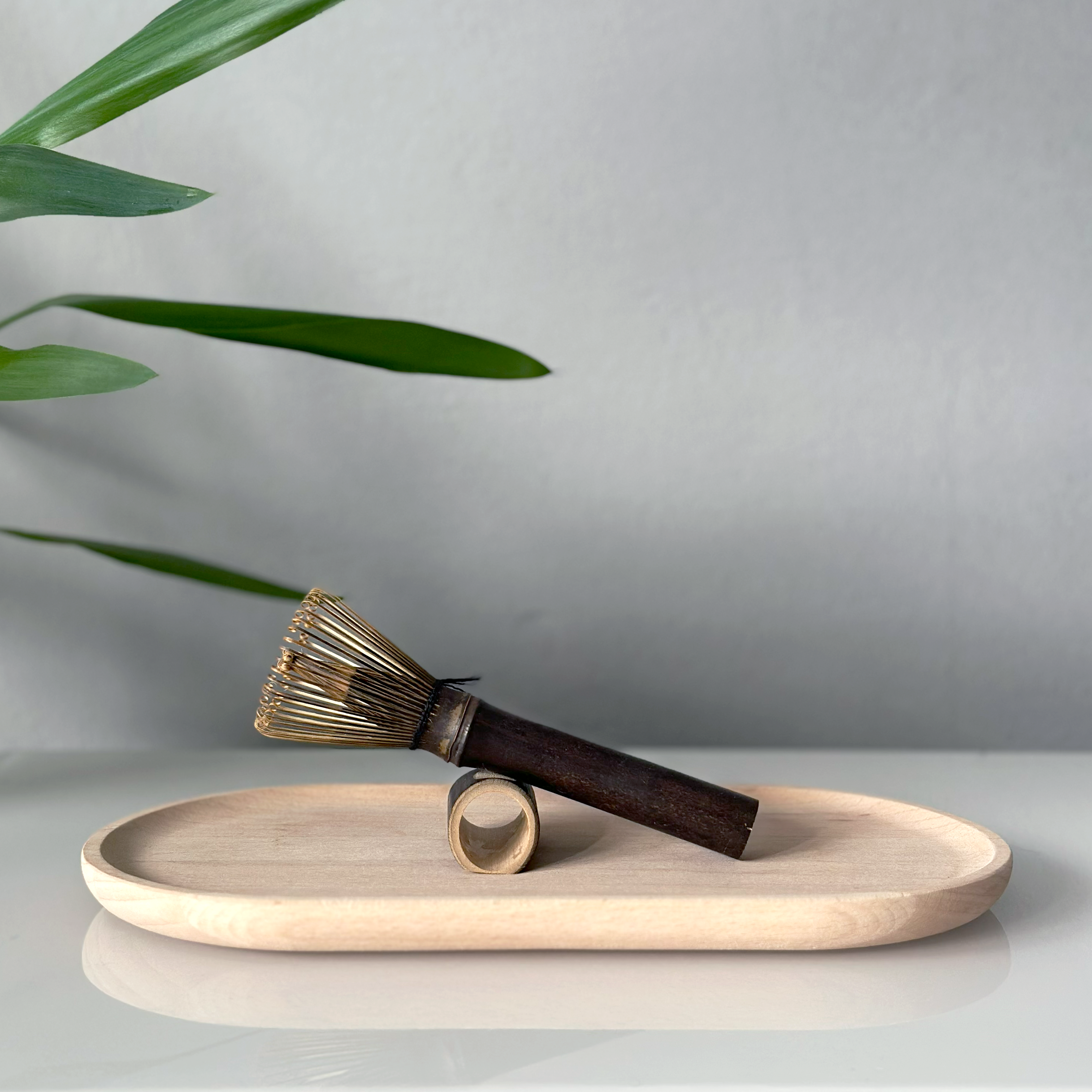 Bambusová metlička tmavá